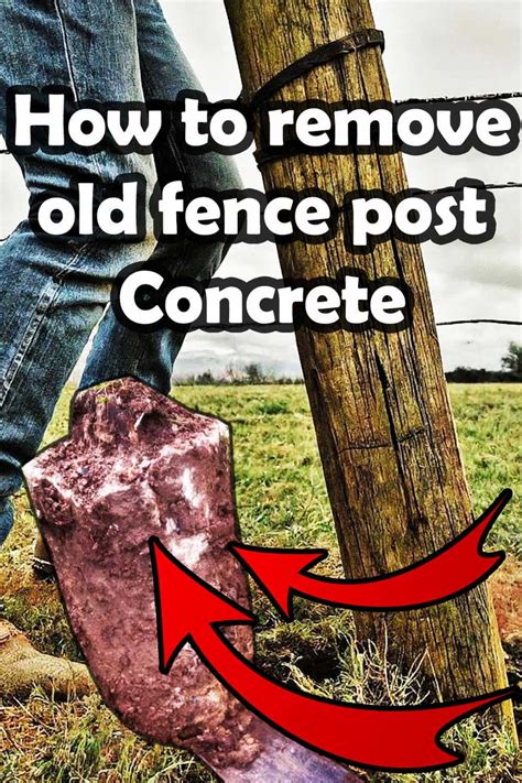 Remove Fence Posts From Ground 的图像结果