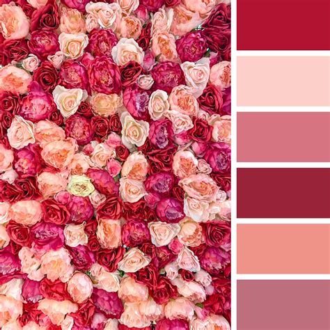 Tangled Flower Color Palette