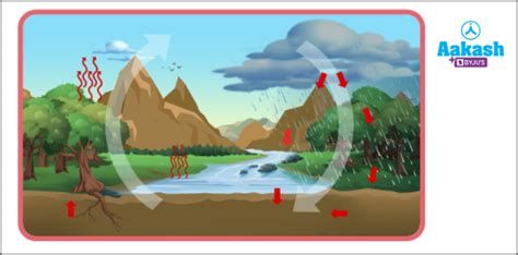 Importance of Forest in Chemistry: Definition, Types and Importance | AESL