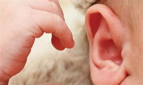 Adenoid-nasopharyngeal ratio may predict otitis media with effusion in ...