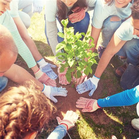 Image result for Pro-Humane Tree-Planting Project