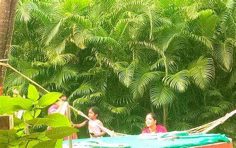 SINDHUJA RESORT (Nagaon, Maharashtra) - Guesthouse Reviews & Photos ...