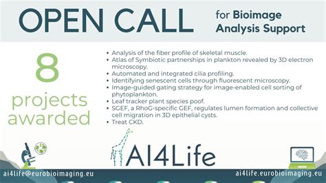 Image result for Deep Learning Algorithm for Image Analysis