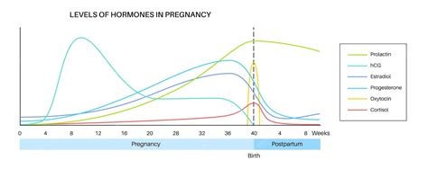 Image result for Python vs Assembly HelloWorld