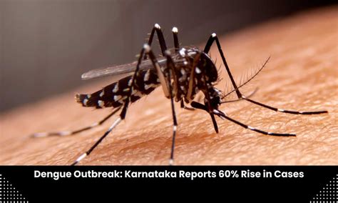 Dengue cases rise by 60 percent in Karnataka