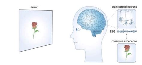 Image result for Remote Neural Monitoring Tech