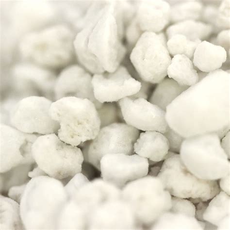 Perlite for Carnivorous Plants | Curious Plant