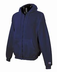 Image result for Champion Cropped Hoodie