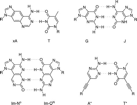 Image result for Base pair Structure