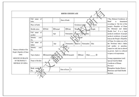 出生医学证明怎么翻译 - 知乎