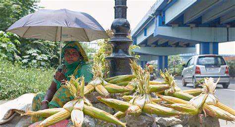 Climate Alert: 2025 Among Top 3 Warmest Years, WMO Warns of Urgent Action