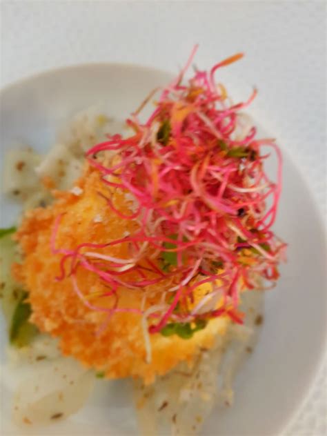 Image result for Le Modjo