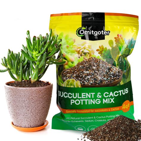 Amazon.com : Omitgoter Succulent & Cactus Soil Potting Mix 2qt, Natural ...
