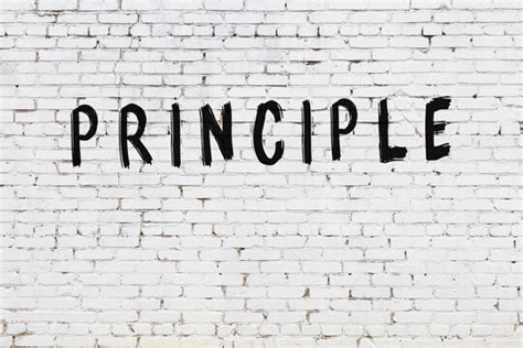 Image result for Principle Examples