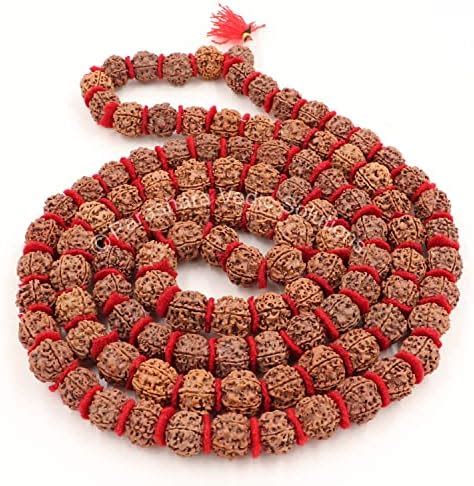 Rudralife 5 Mukhi Rudraksha Mala For Wearing For Men&Women|Educating ...