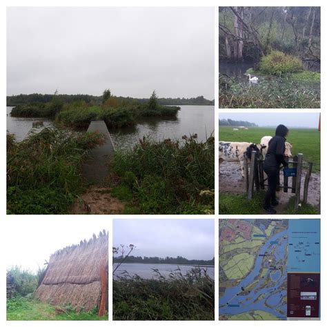 THE BEST Places to Visit in National Park De Biesbosch (2025)