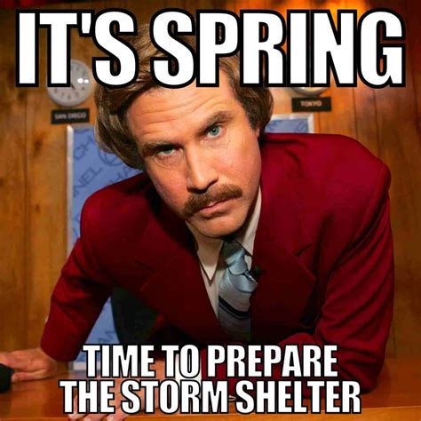 Spring Java Meme 的图像结果