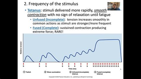 Image result for Wave Summation Graph