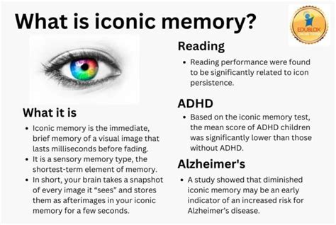 Image result for Drawn Example of Iconic Memory