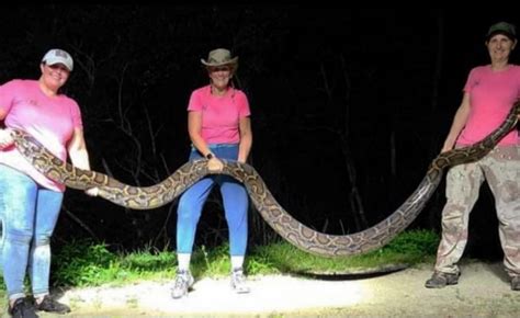 Image result for Female Python Hunters