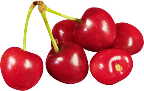 Cherries clipart - Clipground