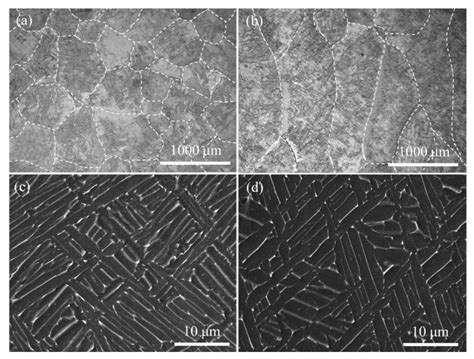 The Anisotropic Electrochemical Machinability of Laser Cladding ...