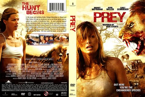 Carly Schroeder Movies