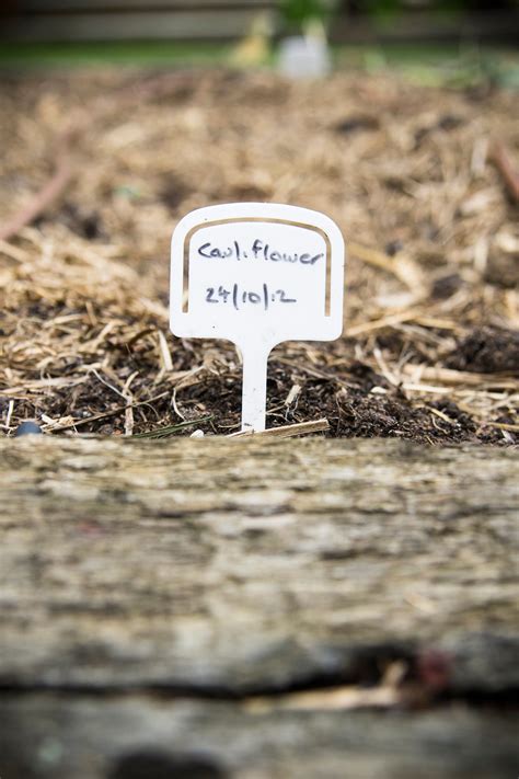 12 Best Homemade Weed Killers - How to Kill Weeds Organically