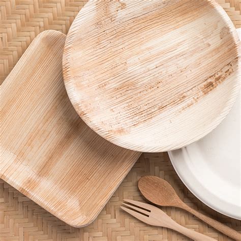5 Money-Saving Reasons Why To Use Sustainable Disposable Tableware ...