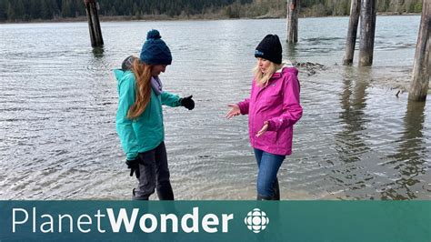 Image result for Jet stream Climate Change