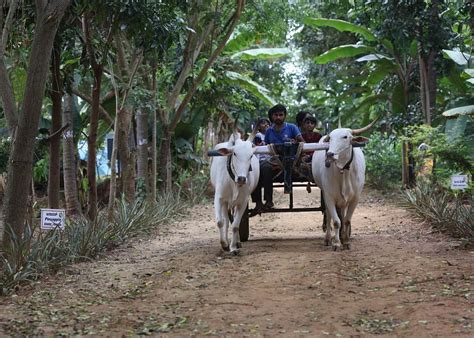 THE BEST Places to Visit in Tiptur (2024) - Tripadvisor