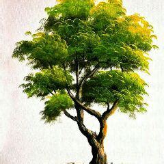 Canopy InATree (Seaweed) Quotes | YourQuote