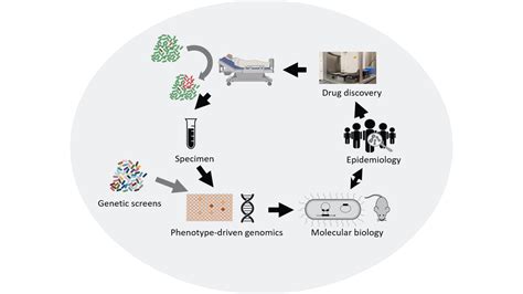 Image result for Host-Pathogen