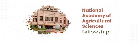 Welcome to NAAS Fellowship