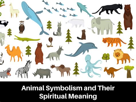 Native American Animal Names And Meanings at Joe Alvarez blog