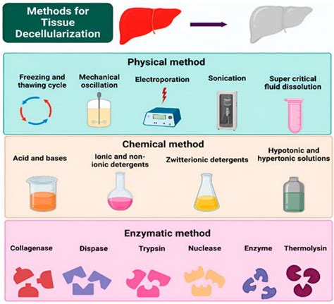 Journal of Functional Biomaterials | An Open Access Journal from MDPI
