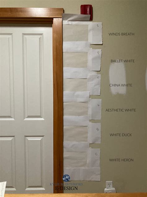 Sherwin Williams Steamed Milk: Paint Color Review