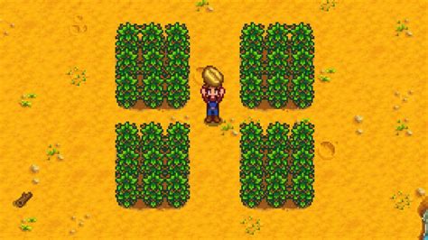 Everything you need to know about coffee beans in Stardew Valley ...