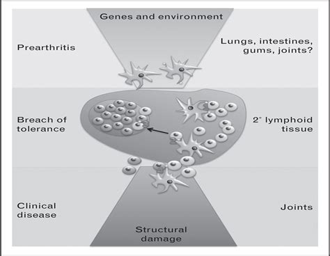 Autoimmunity 的图像结果