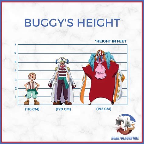 The Big Question : How Tall Is Buggy from One Piece