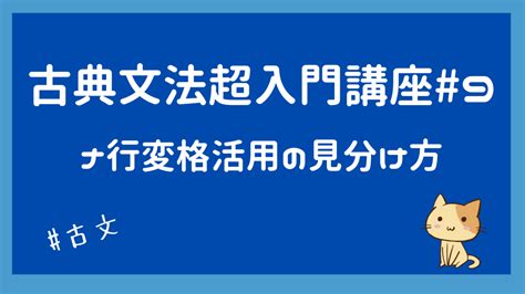 Auto Docstring Visual Studio 的图像结果