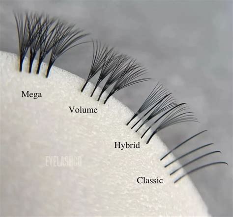 Image result for Eye Lashes Extension Types