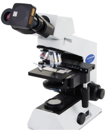 Image result for Magnus Microscope Adapter