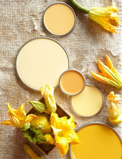 Neutral Yellow Paint Color