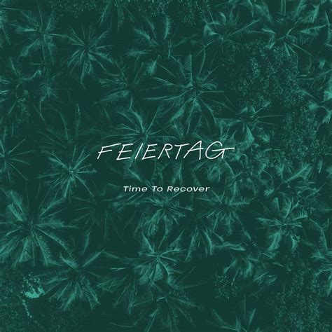Time To Recover : Feiertag: Amazon.in: Music}