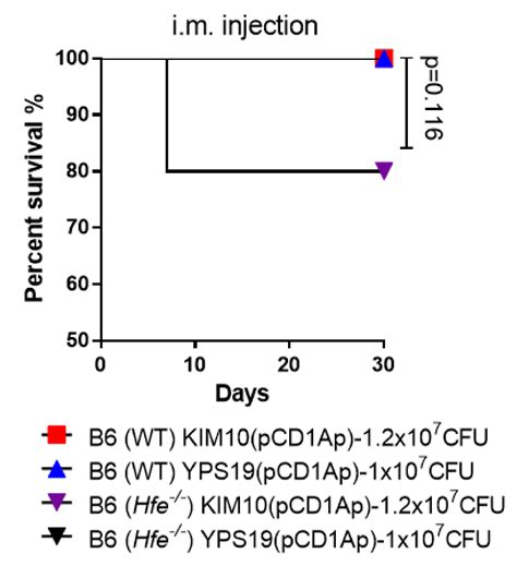 Protection and Safety Evaluation of Live Constructions Derived from the ...