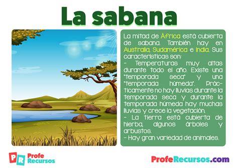 Los Ecosistemas Terrestres | Ciencias Naturales | Teoría + práctica