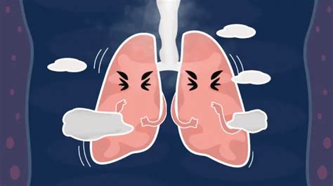 钟南山：全民养肺，刻不容缓，最全的养肺方法送给你！