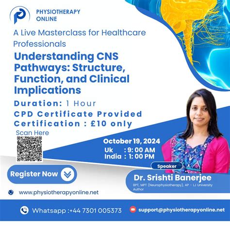 Understanding CNS Pathways: Structure, Function, and Clinical ...