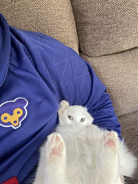 Image result for Alien Belly Kicking